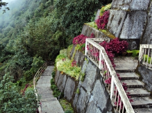 Namchi Rock Garden, Namchi Sightseeing, South Sikkim