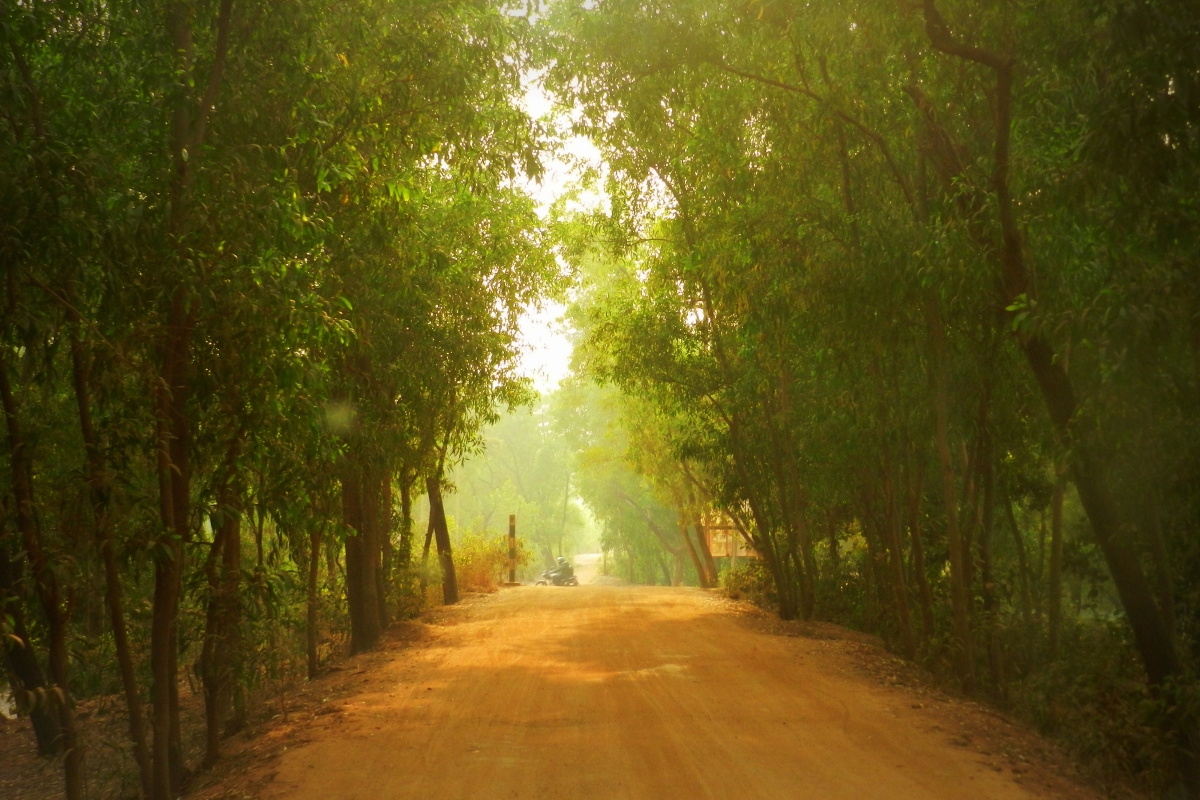 way to prakriti bhavan, shantiniketan, country road