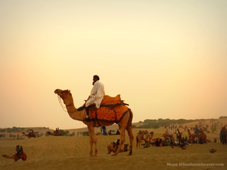 camel rider, thar desert, Jaisalmer, rajasthan