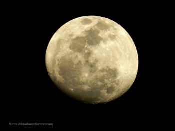 moon, full moon, close up