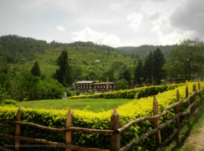 punakha monastery garden 2