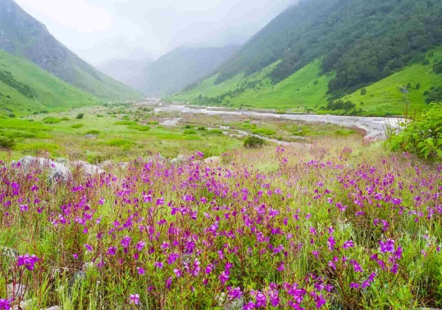 Untouched National Parks and Wildlife Sanctuaries in Uttarakhand