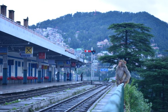 shimla, railway station, travel, india